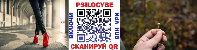 ОМГ ОМГ как войти  Дербент  Галлюциногенные грибы Cubensis 
