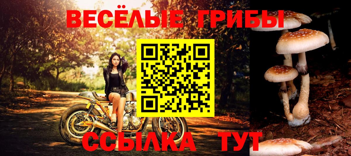 Псилоцибиновые грибы мухоморы Дербент