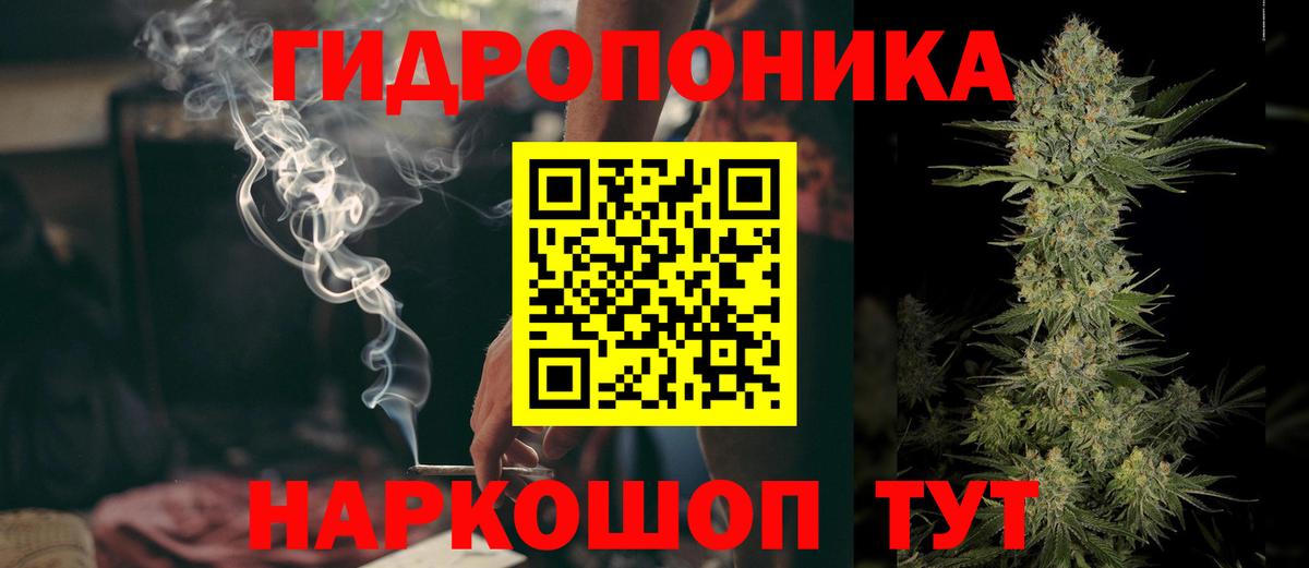 Бошки марихуана MAZAR  Дербент  Бошки Шишки SATIVA & INDICA 